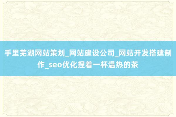 手里芜湖网站策划_网站建设公司_网站开发搭建制作_seo优化捏着一杯温热的茶