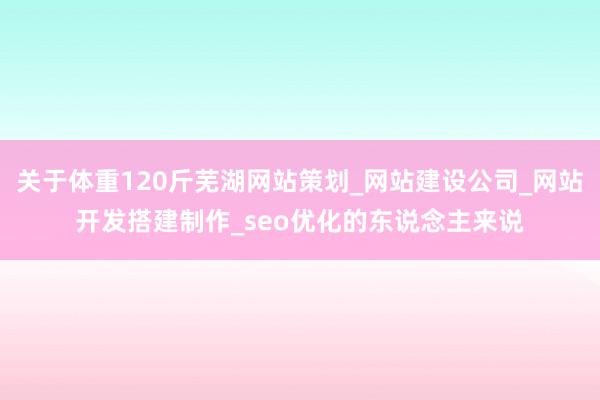 关于体重120斤芜湖网站策划_网站建设公司_网站开发搭建制作_seo优化的东说念主来说