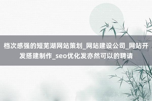 档次感强的短芜湖网站策划_网站建设公司_网站开发搭建制作_seo优化发亦然可以的聘请