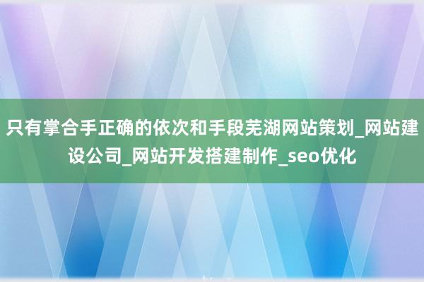 只有掌合手正确的依次和手段芜湖网站策划_网站建设公司_网站开发搭建制作_seo优化