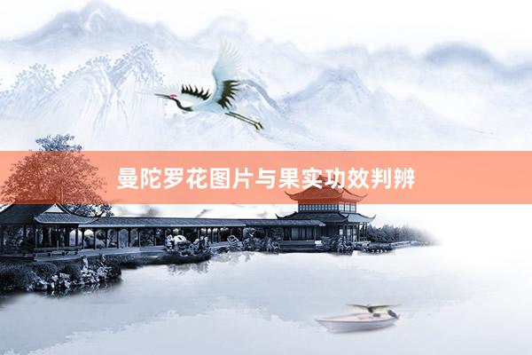 曼陀罗花图片与果实功效判辨