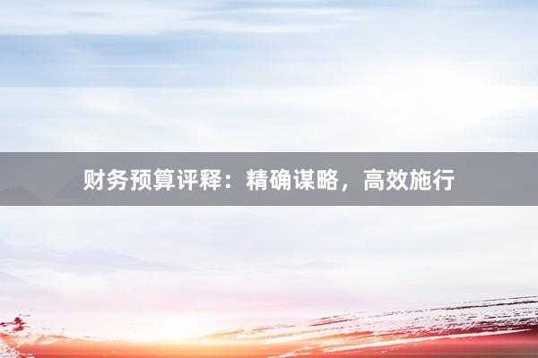 财务预算评释：精确谋略，高效施行